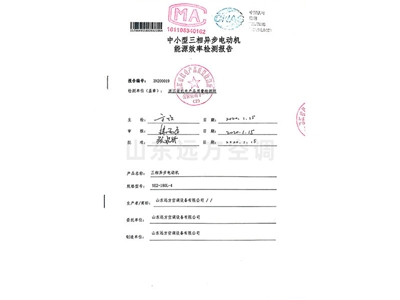 中小型三相異步電動(dòng)機(jī)能源效率檢測(cè)報(bào)告