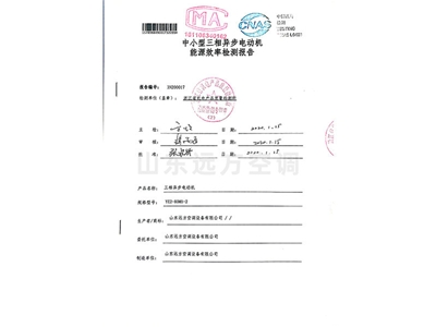 中小型三相異步電動(dòng)機(jī)能源效率檢測(cè)報(bào)告